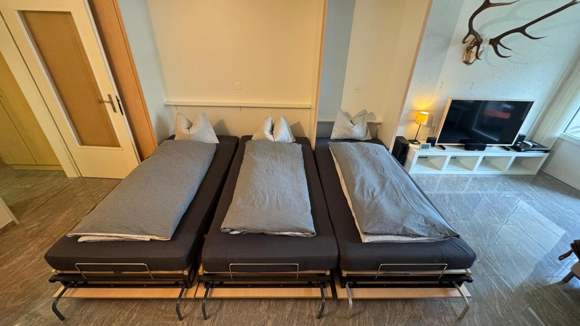 Stylish Alpine In Davos, Wifi & Netflix Davos